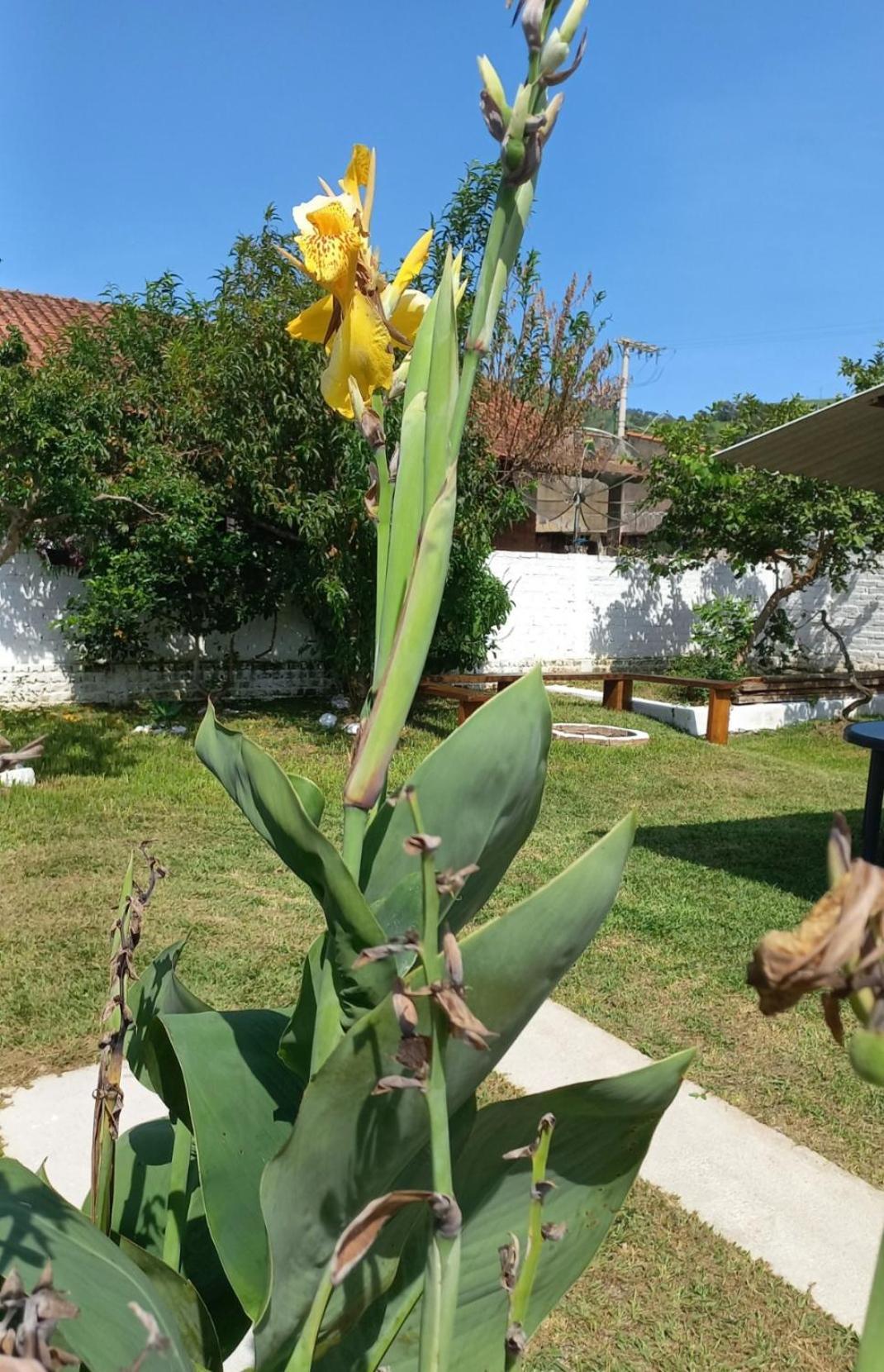 Casinha Verde Passa-Quatro Buitenkant foto