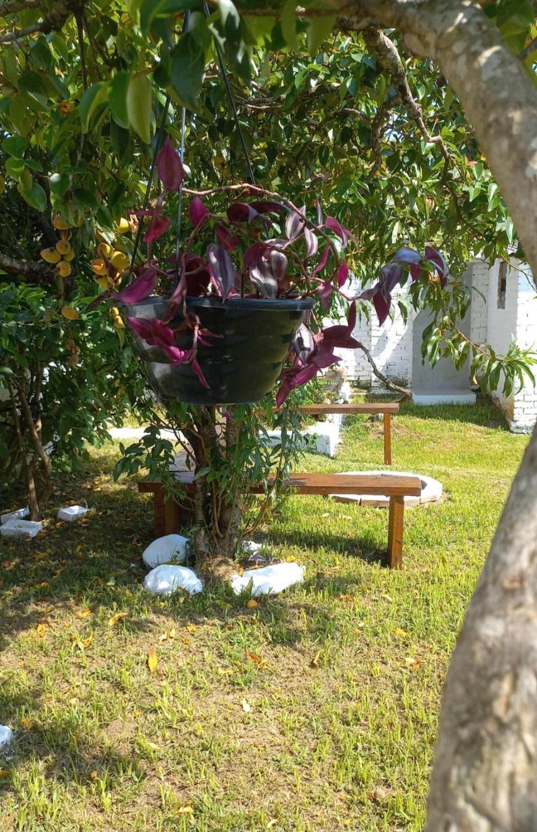Casinha Verde Passa-Quatro Buitenkant foto